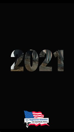 Just a glimpse into our year at Holstein Association USA! From cow shows to National Holstein Convention, and farm visits to podcast interviews, connecting with our members was a highlight of 2025. We can’t wait to keep the fun going in 2026! | Holstein Association USA