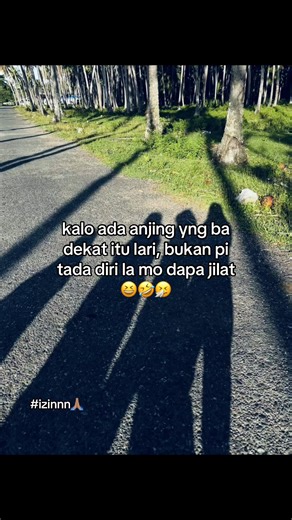 Kumpulan Video Anjing Lucu dan Pintar