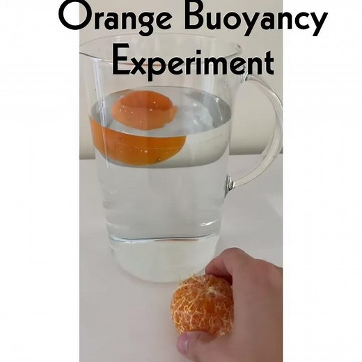 Buoyancy Science Experiment