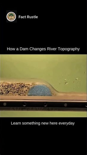 This Is How a Dam Reshapes an Entire River 😲