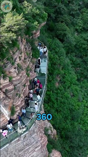 This Bridge TRICKS Your Brain! #shorts