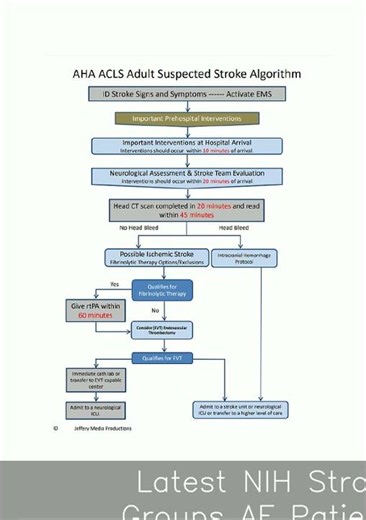 Latest NIH Stroke Scale Assignment All Test Groups AF Patients 16 Complete Answer Keys Updated NIHSS