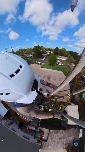 18K views · 283 reactions | Tower Butchery or Genius? ⚠️ Cutting Down...