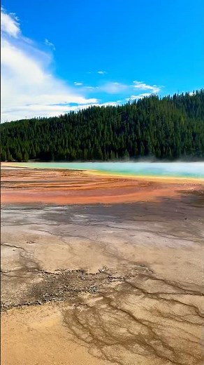 The Best of Yellowstone in One Day