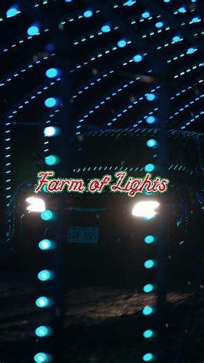 Farm of Lights is open for Christmas‼️🎄 Come celebrate the holiday with a festive drive-thru light show featuring 100,000 LED lights, glowing tunnels, and massive Christmas trees! 📍 40700 119th St. Genoa City, WI ⏰ 5-10 PM 📆 7 days a week until Dec. 31 🎟️ $25 per car (buy online or in-person) 🔗 FarmofLights.com | Farm of Lights