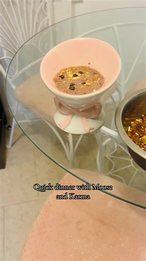 I filmed a quicker dinner video this time including their plates and giving them their food.🍽️Karma had @Fancy Feast with some treats from @Pet Supplies Plus and Moose had his kibble with @Primal Pet seafood and @Yummers Pets heart toppers. Finally, they both got some cheese sprinkles from Yummers! 🧀 #TikTokCreatorSearchInsightsIncentive #petfood #dogfood #catfood #petcare