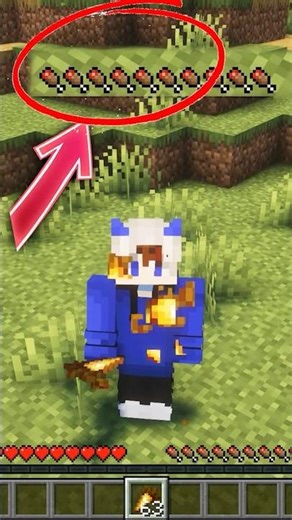 2 Types of players in Minecraft