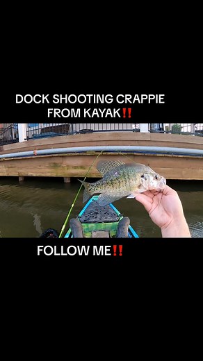 3.1K views · 64 reactions | Dock shooting crappie from the kayak‼️ #crappiefishing #crappie #crappiemaniacs #kayak #kayakfishing #kayakcrappiefishing #crappiecrazy #903fishing #texasfishing #crappielife #crappiefishin #whitecrappie #fishing #fishinglife #fishingaddict #fishingdaily #crappiecrazy #fishingislife #fishingtime #fishing #inandoutpowersports ACC Crappie Stix Piscifun Slab City Jigs | 903 Fishing | Facebook