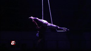 Circus Juventas: Excalibur