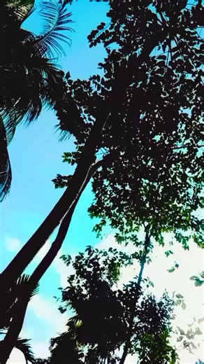 Ii Foysol (@1212.foysol0)’s videos with original sound - pakcraftes1