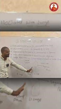 Surgeries Associated with Lungs: Types, Procedures & Recovery Explained"