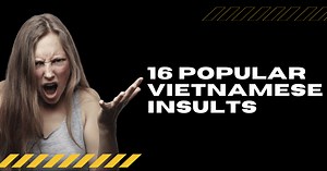 popular-vietnamese-insults