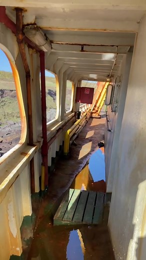 Dylan Walsh on TikTok