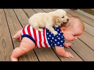 Funny Babies Playing with Dogs Compilation - Funny Baby and Pets