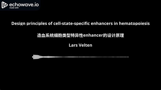 造血系统细胞类型特异性enhancer的设计法则