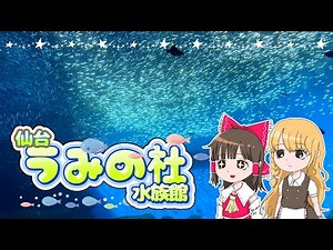 都内の水族館選びに！東京の『５大水族館』の魅力をそれぞれエリア別に徹底解説