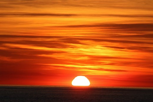 Sunset Bay Cruise | Princess Monterey Whale Watching