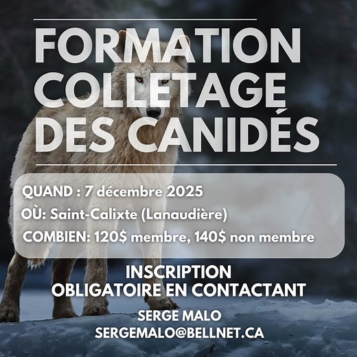📣 Nouvelle formation spécialisée dans Lanaudière! Le 7 décembre, ne manquez pas la formation sur le colletage de canidés 🐺🦊 — une occasion idéale pour perfectionner vos techniques de piégeage, juste au cœur de la saison! Cette formation sera donnée par un formateur d’expérience et se déroulera à Saint-Calixte, dans Lanaudière. 👉 Places limitées! 📌 Pour vous inscrire ou obtenir plus d’informations : Contactez Serge Malo à sergemalo@bellnet.ca Une belle opportunité d’apprendre, d’échanger et 