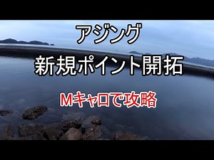 【アジング】新規ポイント開拓、キャロで遠投して釣りました