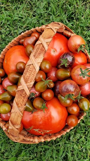 🍅 How to can marinara sauce 🍅 What you'll need: ➡️ Water bath canner ➡️ Wide mouth or regular Pint or Quart canning jars, lids and seals ➡️ Canned tomato puree and tomato paste (in the pasta/tomato sauce aisle of your local grocery store) it's basically just unseasoned tomato puree ➡️ fresh or frozen tomatoes, cut into quarters ➡️ olive oil, water, tomato paste, brown sugar, garlic, onions and spices We love the already minced garlic you'll find in a container in the produce section! (Just ref