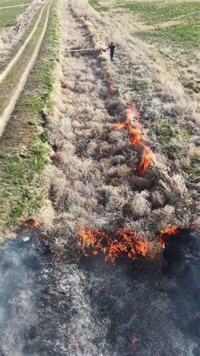 Poe Valley Burn - Klamath Project