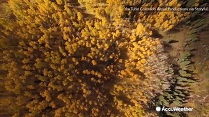 6.1K views · 296 reactions | AMAZING! A compilation of the best fall foliage videos we’ve seen this season! | AccuWeather | Facebook