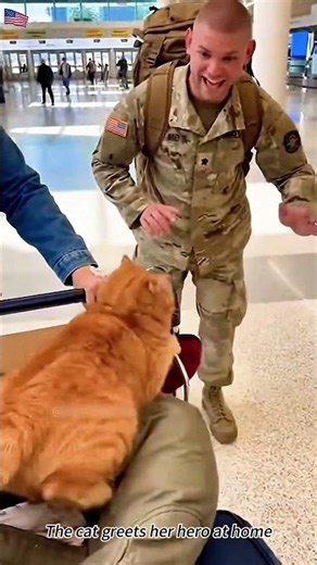 The cat welcomes its hero home.#cat #soldier #militarytiktok #militaryhomecoming #usa🇺🇸 #fyp