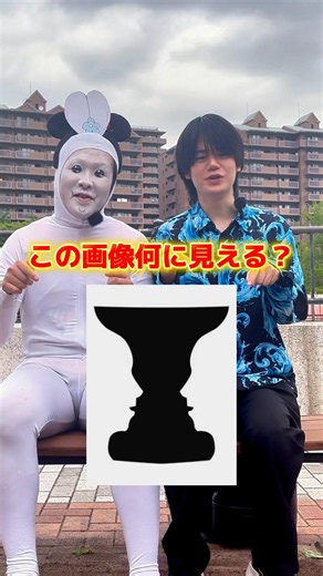みんなは何に見える？ #しゅんぴ #ルビンの壺