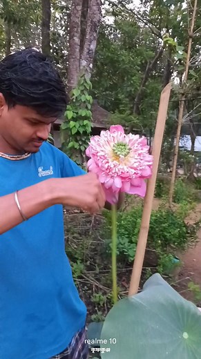 18K views · 573 reactions | #Radha #Krishna চন্দন যাত্রা উপলক্ষে জগন্নাথ কে নিবেদন করলাম একটি পদ্ম এবং কিছু চন্দন | Sagar Sharma | Facebook