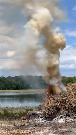 Give your property the gift of a fresh start this holiday season. Your trees worked hard all year, now it’s time to get them in top shape for winter. Twisted Pine Tree Service is offering a Holiday Special on: ✨ Tree Trimming ✨ Tree Pruning ✨ Land Clearing & Brush Removal Whether you’re prepping for guests, improving safety, or cleaning up the property before the new year, our crew has you covered. Professional. Reliable. Local. Let’s get your yard looking its best for the holidays. 🌲 Book your