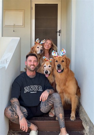 The reality of getting a family Xmas photo with 3 golden retrievers #merrychristmas #familyportrait #goldenretrievers #goldies