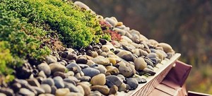 10 Essential Green Roofing Materials | DoItYourself.com