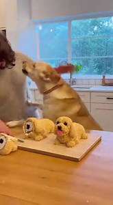 123K views · 167 reactions | Woman Cuts Hyper-Realistic Dog Cake —...