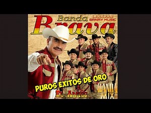 Banda Brava Mix ⛽Banda Brava Corridos y Rancheras