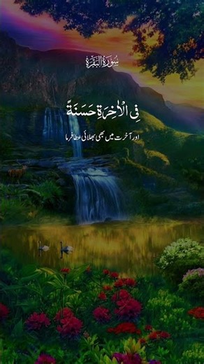 Quran Shareef translation #translation