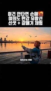 서울 데이트 고민될 때 여의도 한강 유람선 선셋 크루즈 갈매기 체험