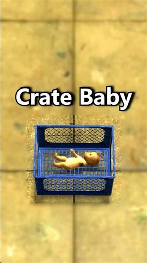 The Weird Story of Half-Life 2 Crate Baby