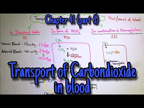 Transport of CO2 in blood. Haldane Effect. Respiratory exchange ratio. Chapter 41 part 6. Guyton.