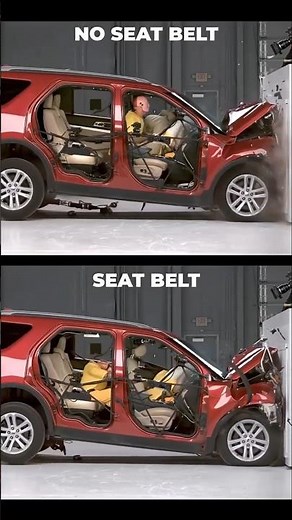 This Crash Test Dummy Test Will Change How You Drive 🚗