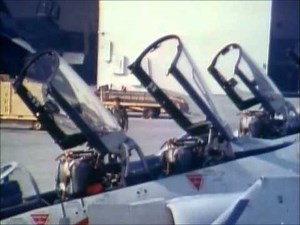 Discovery Wings / F-14 Tomcat [1/3]