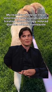 Let’s talk about chemotherapy-induced diarrhea in dogs and why I’m no longer reaching for metronidazole. 💊⁠ ⁠ As a veterinary oncologist for 20 years, I’ve seen and know just how frustrating GI side effects can be for both pets and their people. (IYKYK)⁠ ⁠ When I discovered Canalevia®-CA1, an FDA-approved antisecretory drug specifically designed for chemotherapy-induced diarrhea in dogs, it quickly became a staple in my practice.⁠ ⁠ 🌿 It’s plant-based (sourced from the Croton lechleri tree sap