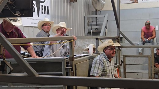 4.1K views · 48 reactions | Auctioneers have a special gift. Here is the 2025 LMA Champion Auctioneer Dean Edge at today's sale. | The Elgin Review | Facebook