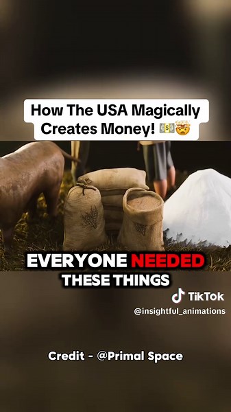 insightful_animations on TikTok