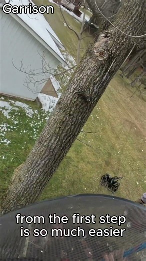 Flip line vs central tie-in point💯#dungrovetreeservice #certifiedarborist #southeastmichigan