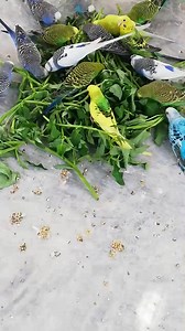 Perfect serenity. | Dexter's World