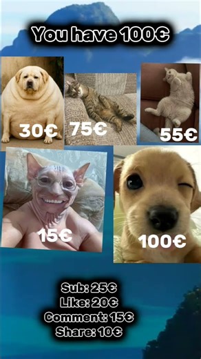 What Did You Buy?? #marriageproposals #truedialogue #caketraining #pov #real #growagarden #relatable