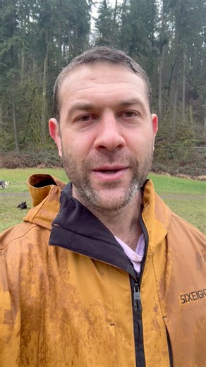 My heart is shattered. Sherman has still not come home. It has been brought to my attention that some individuals are telling people not to notify us if Sherman is found. I can’t explain how devastating that is to hear. No matter what anyone thinks of me, this should never be about anything other than the safety of a dog. Sherman has epilepsy and is vulnerable to seizures when under stress. He needs calm. He needs safety. He needs to come home. If you see him, please contact us immediately. Plea