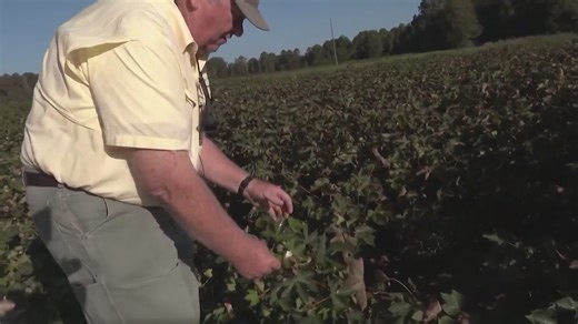 The annual 4th of July firework event at the fairgrounds is now discontinued
