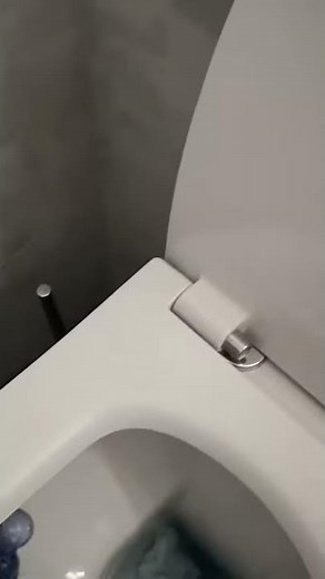 WC-Sitz Vigour
