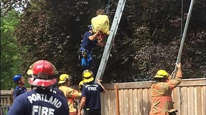 Tree trimmer stuck in tree rescued after chainsaw accident